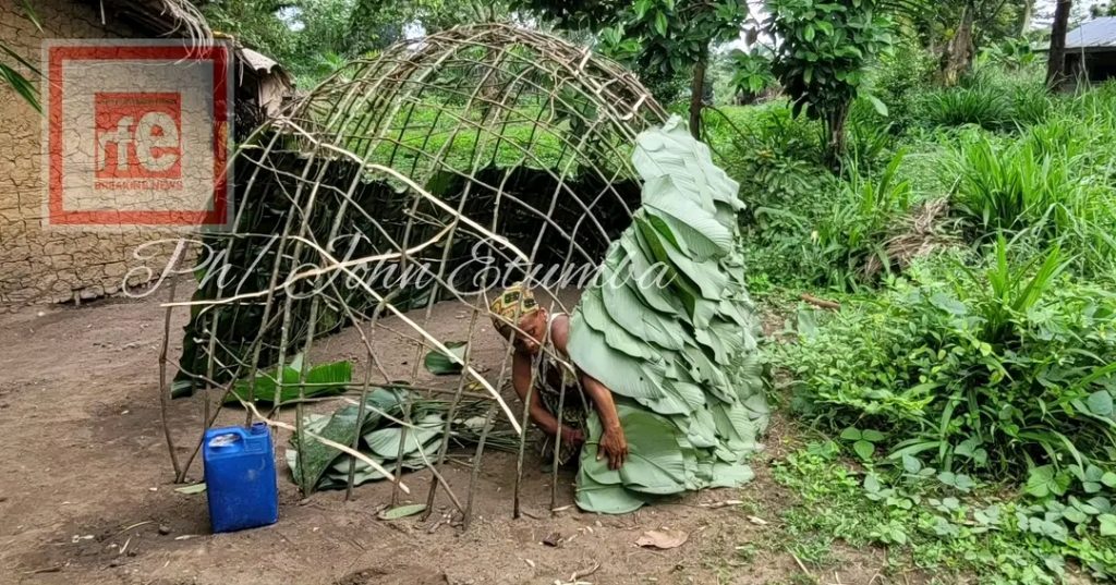 DR Congo : In Epulu in RFO, pygmies women build hoods for a whole family | RFE1-NEWS