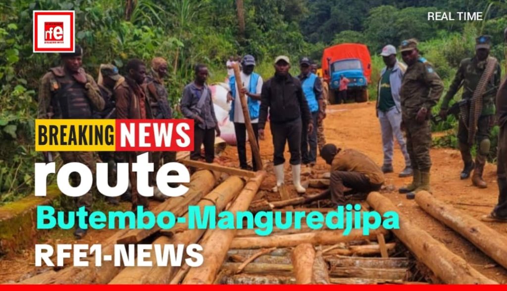 RD Congo : la société civile des Bapere tire la sonnette d&rsquo;alarme, << le pont de la rivière LOPO Kakohwa menace de céder >>  | RFE1-NEWS